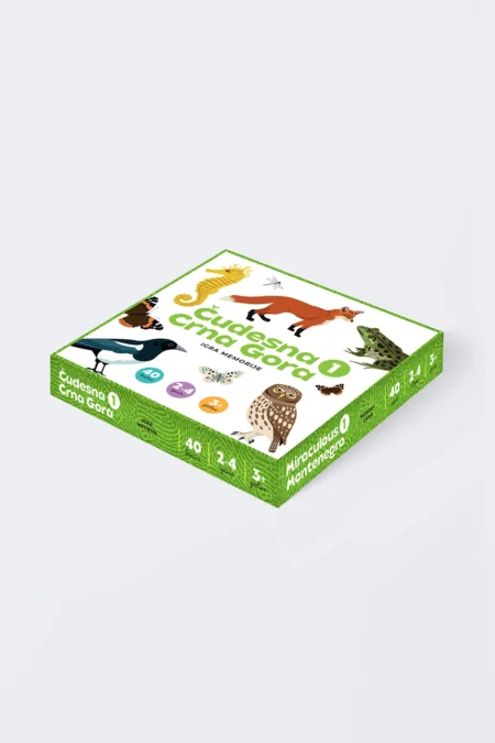 Miraculous Montenegro 1 – Memory Game