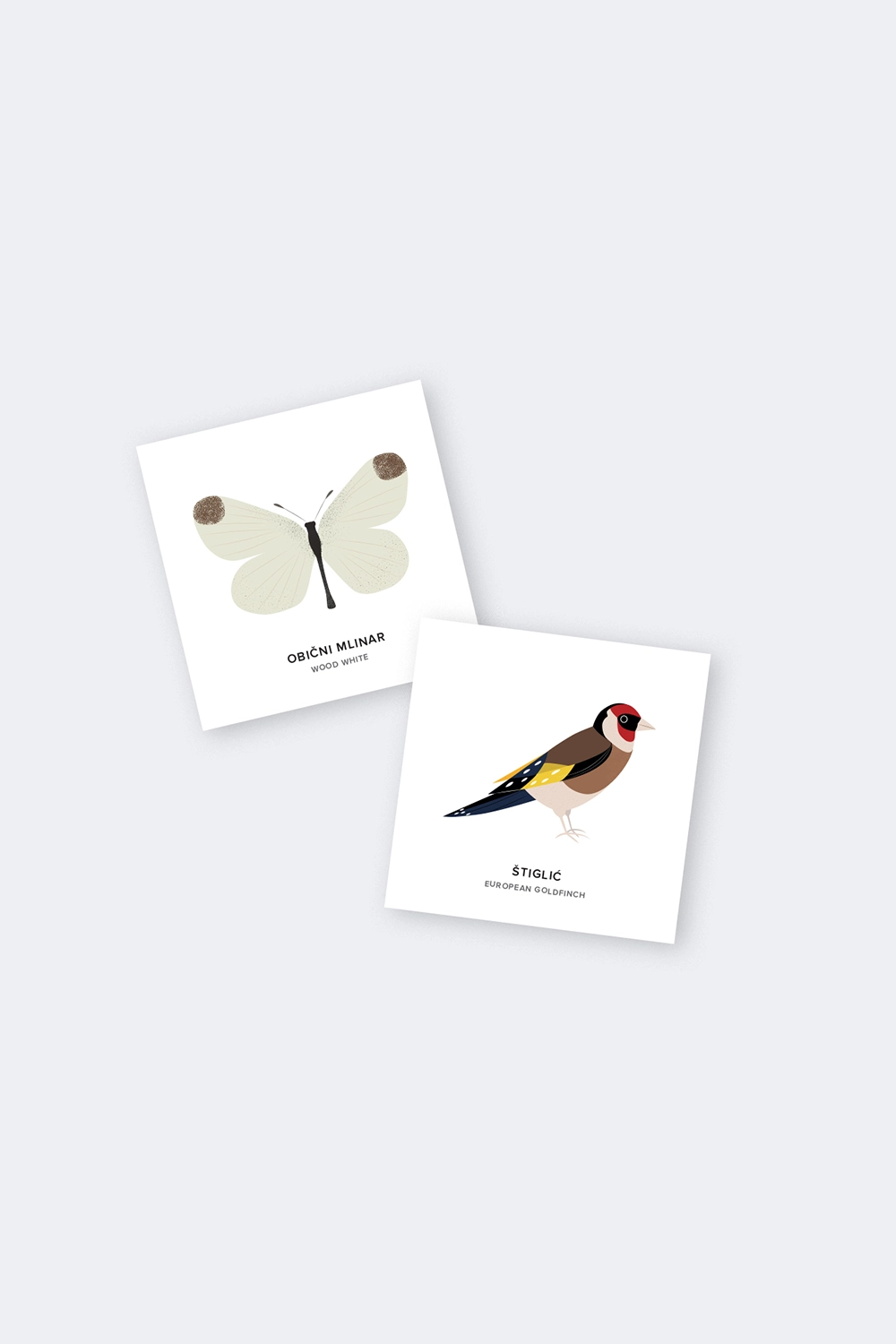 Miraculous Montenegro 2 – Memory Game - Image 3